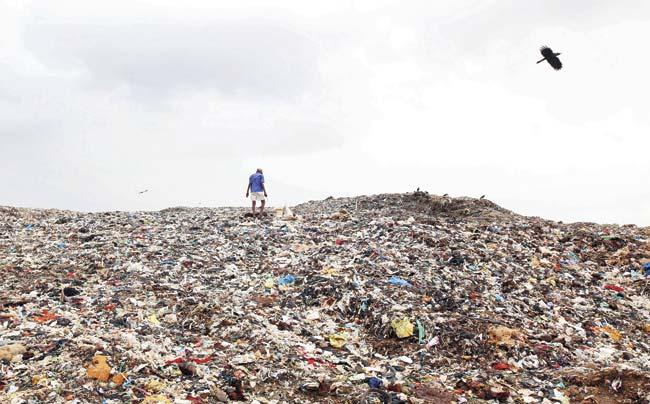 The huge heap of garbage at the Deonar dumping ground now stands 20 metres tall as high as an 18-storey tower. File pic for representation