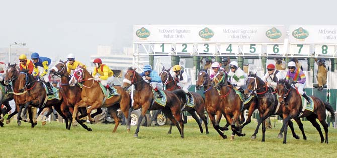 Horses thunder out of the starting gates at last year’s Derby