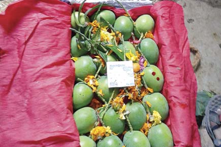 Mangoes make entry into Mumbai market