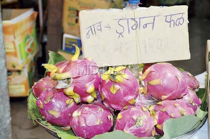 The bright pink exterior and quaint flesh make the dragon fruit a talking point. Pic/Shrikant Khuperkar