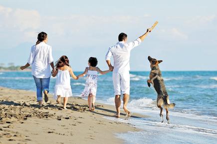 Travel special: Pet-friendly holiday destinations