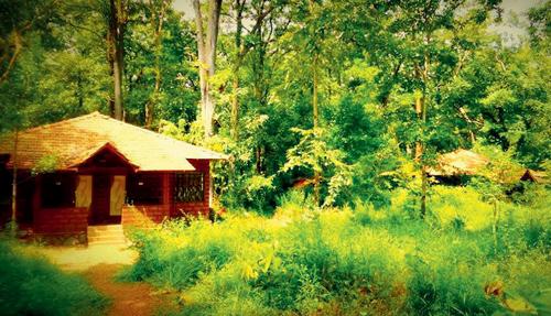 One with nature in Dandeli 