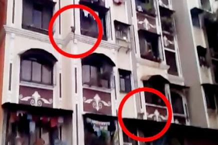 Monkey menace in Mumbai's residential buildings