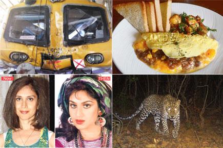 mid-day special: Top 10 popular reads from June 27 - July 3