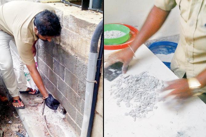 A BMC worker applies rat bait at Babulnath and BMC workers make the bait — zinc phosphide mixed with flour — with their bare hands