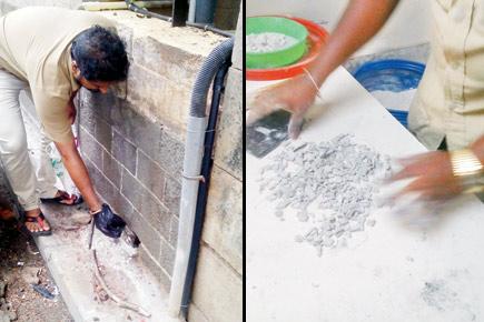 Mumbai: BMC rat killers at poison risk due to lack of proper safety gear