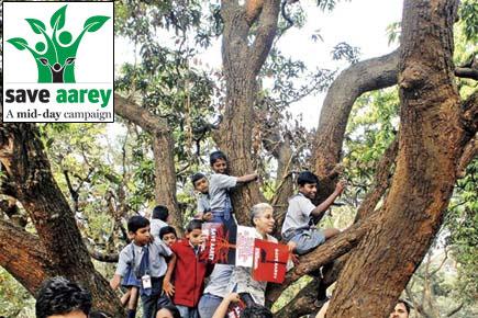 Metro III hits deadlock as government bargains with Save Aarey activists