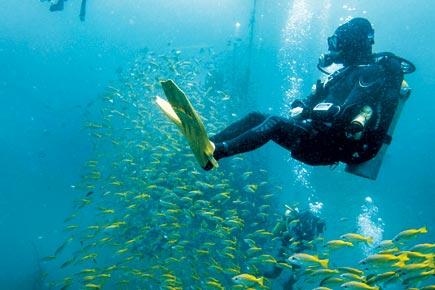 Travel: Dive into Pondicherry's aqua world