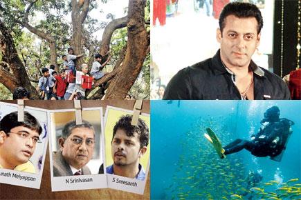 mid-day special: Top 10 popular reads from July 11 - July 17