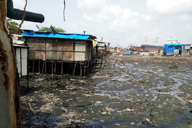Slums at a height: At some bunders, slums have come up on stilts several meters into the sea. The homes lack sanitation, and release most of their daily waste directly into the sea.