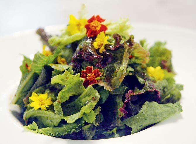 Edible Fower Salad with Citrus Vinagrette at Byblos Kitchen + Bar. Pic/Sayed Sameer Abedi