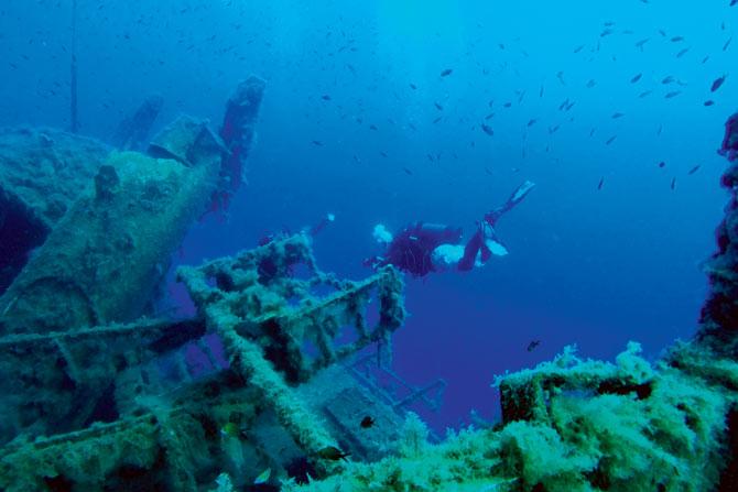 Enthusiastic divers flock to the Zenobia’s remains to take photographs of the shipwreck. pic/Afp