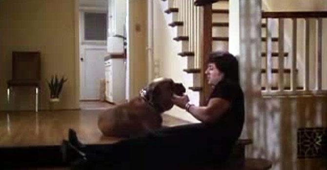 Sylvester Stallone with his dog Butkus in a still from ‘Rocky’. Pic/YouTube 