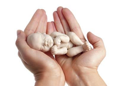 u00efu00bbu00bfSix-month-old foetus found in toilet in Delhi