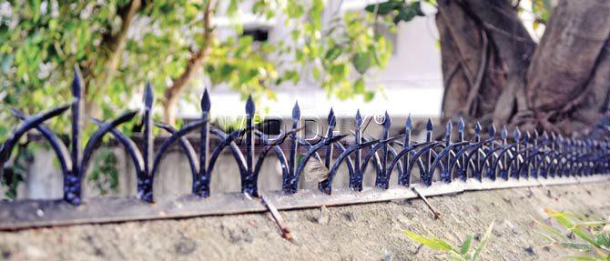 The iron spikes on the walls. Pic/Nimesh Dave