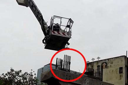 Mumbai fire brigade rescues crow stuck inside Monorail girder