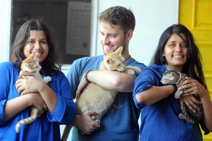 This Versova cafe is home to adorable cats