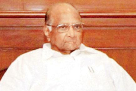 MCA polls: Prez Sharad Pawar could be challenged 
