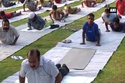 Watch Video: Tihar jail inmates practice yoga in New Delhi