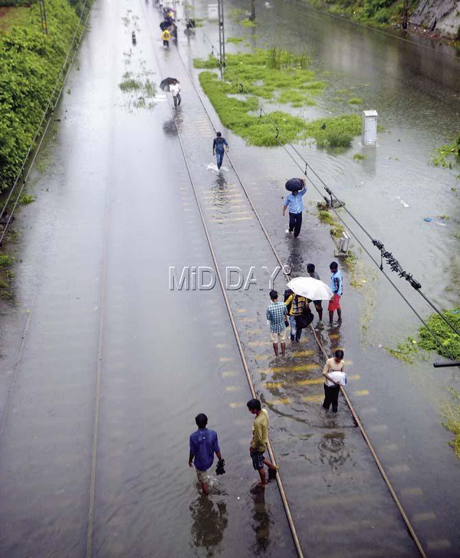 Several commuters walked along the submerged tracks to reach their destinations after train services were called off. Pic/Pradeep Dhivar