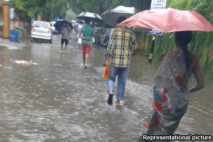 Rain-battered Mumbai limps back to normalcy