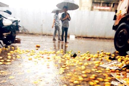 Mumbai rains: Heavy downpour reaps bitter fruit at APMC 