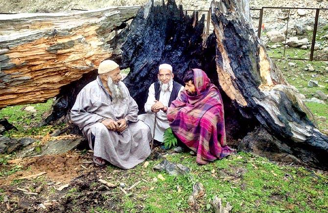 The seniors of the Bakarwal clan huddle near the bark in Hirpora