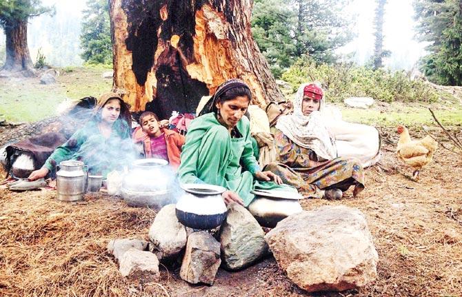 A Bakarwal family prepares food as they stop for a short break in Hirpora
