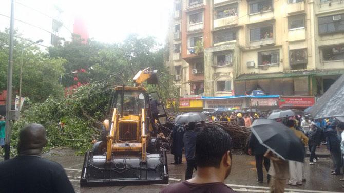 Mumbai rains: Tree falls near Siddhivinayak temple; 1 killed
