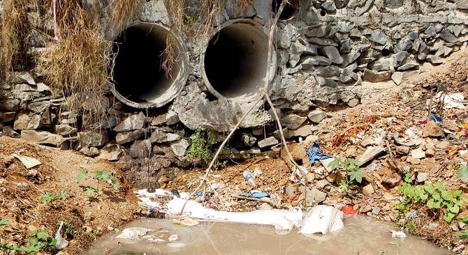 shit happens: Sewage water also empties into the Dhobi Ghat, which is allegedly still being used to wash linen. FILE PIC