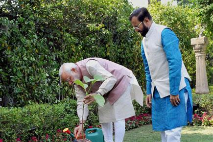 On Environment Day, PM Modi asks people to plant trees
