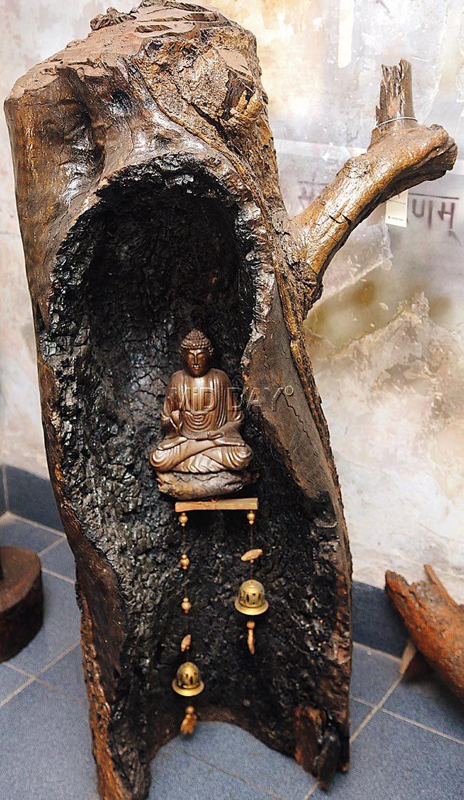 Amida Buddha placed in a real tree bark makes for a unique décor piece