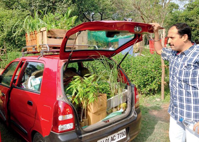 A buyer stocks his car with plants and herbs for his garden   