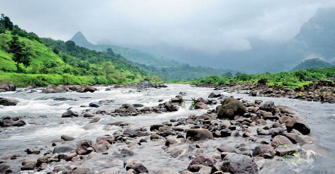 A stream in full flow near Purushwadi. PIC COURTESY/GRASSROUTES