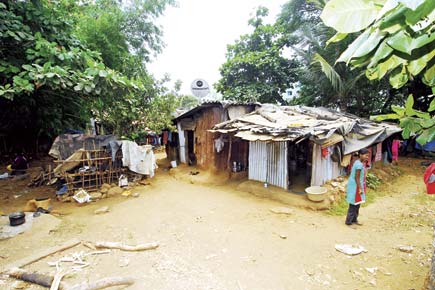 New power connections to lift Aarey's tribals out of dark ages