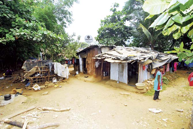After years of living in the dark, tribals living in Aarey Colony will finally be provided with electricity from July. File pic