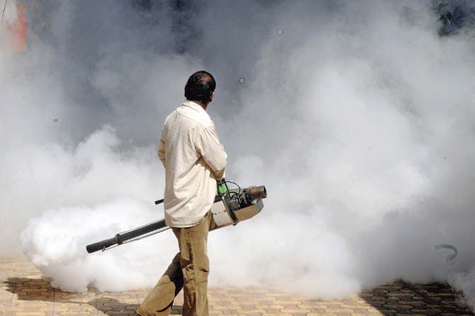 The BMC has also resorted to fogging to get rid of mosquitoes. File picture for representation