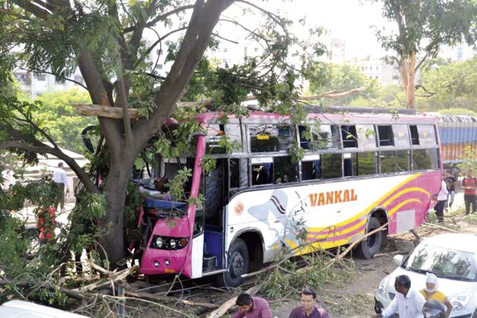 The bus that the dumper had hit came to a halt after hitting a tree