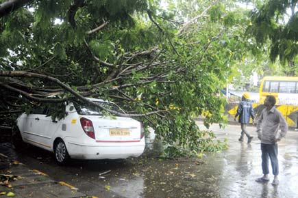 Waterlogged roads, fallen trees... the rains have really arrived in Mumbai