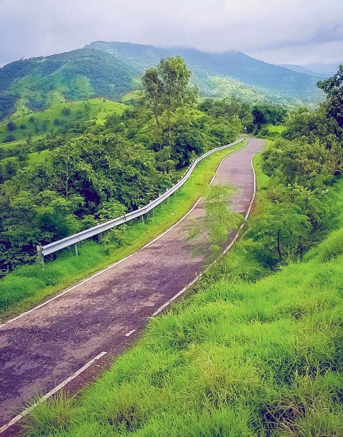LIKE A RIBBON: The Konkan coastal route turns green and lush after the first showers. Pic courtesy/karan singh sood