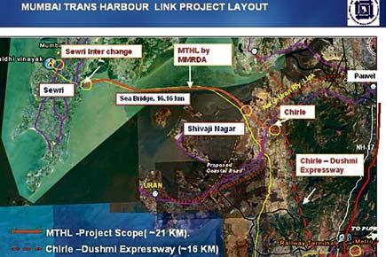 Mumbai Trans Harbour Link: Mangroves, mudflats will be protected, MMRDA tells Centre