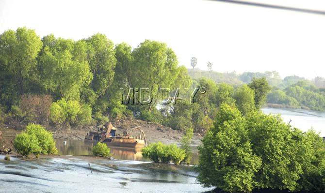 When mid-day visited the creek on Wednesday and Thursday, we found sand dredging work going on in full swing, even though the Collector’s office had assured that action was being taken against the culprits. Pic/Shrikant Khuperkar