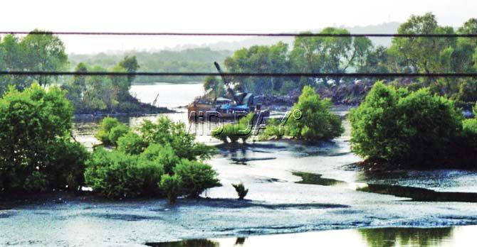 According to experts, not only does the dredging have enormous ecological cost, but it also poses a threat to humans as the creek has now become a flood threat due to its destabilised basin and embankments. Pic/Bipin Kokate