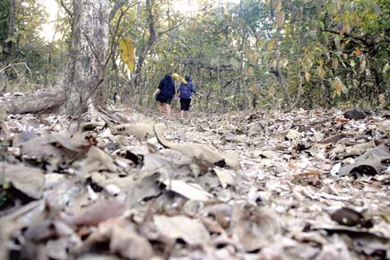 Go on an overnight adventure camp at SGNP, plus more...