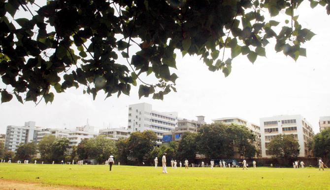 GREEN SCENE: The Dr HD Kanga Cricket League in the monsoon gave cricket its Kodak moment