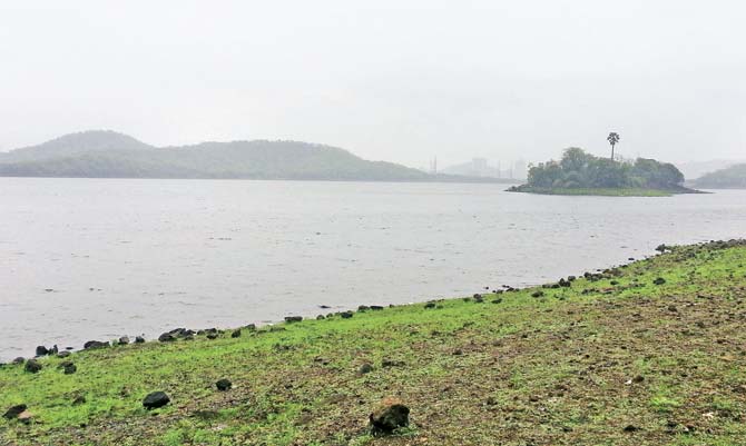 The island which serves as a base for the hooch-manufacturing unit