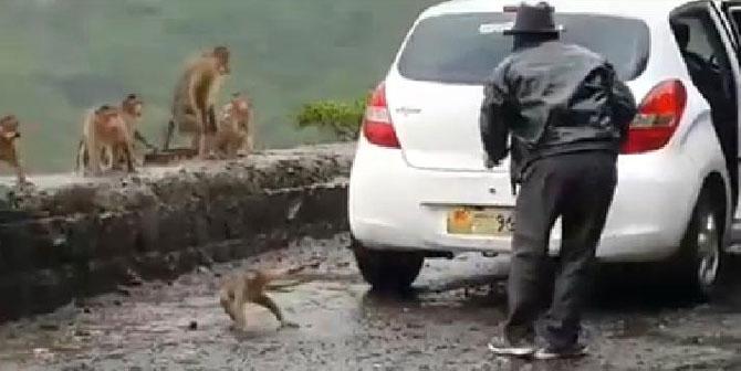 A still from the video showing the men kidnapping a monkey