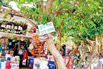 Mumbai Diary page: Sunday shorts