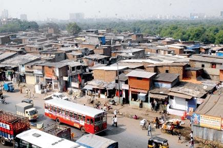 What does Dharavi want?