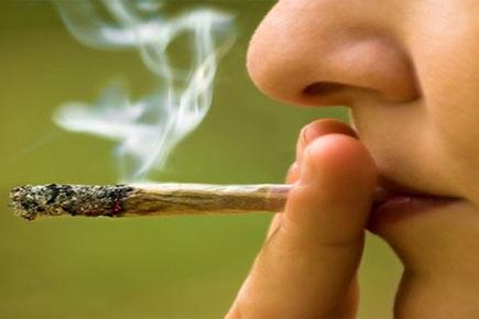 Marijuana abuse affects long-term memory